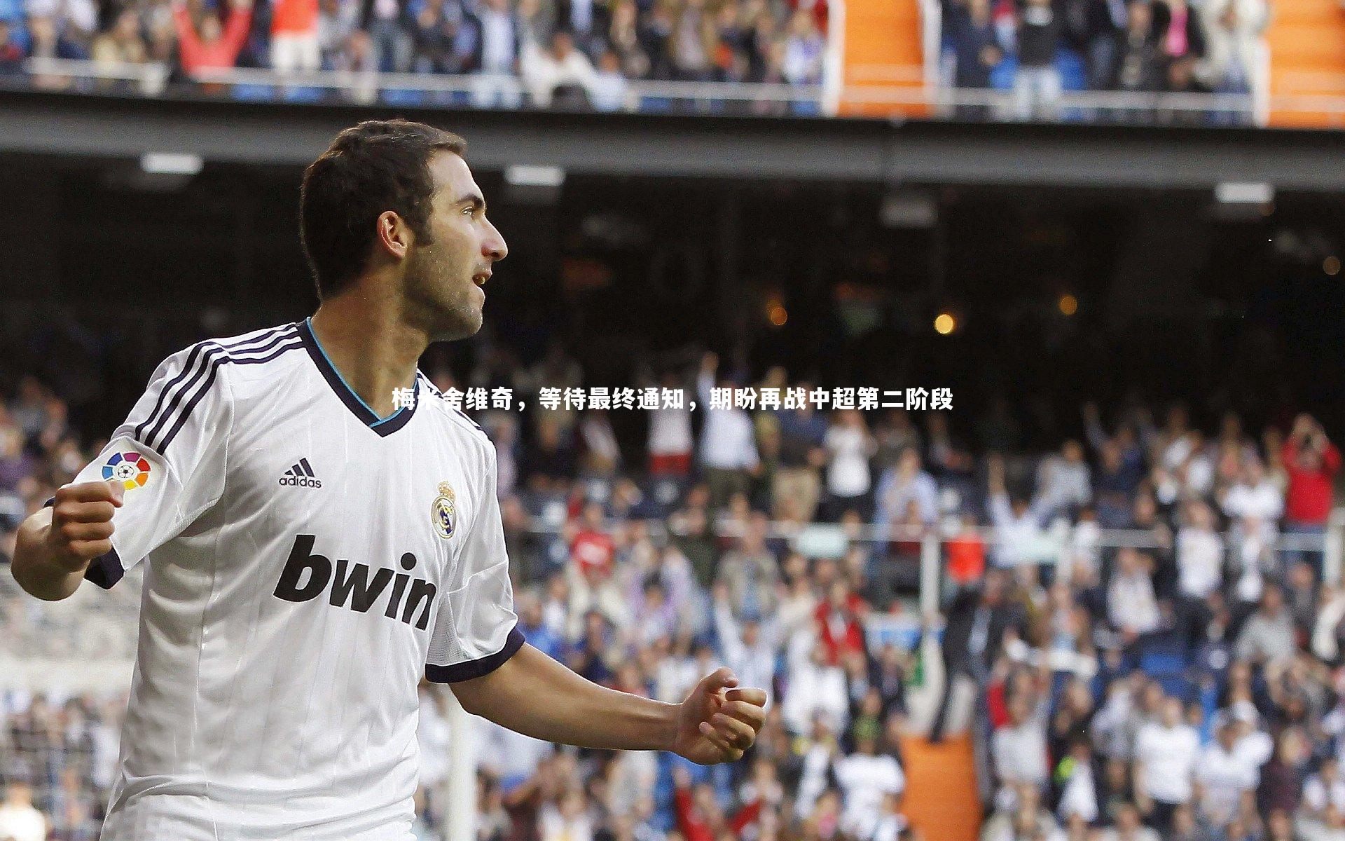 梅米舍维奇，等待最终通知，期盼再战中超第二阶段